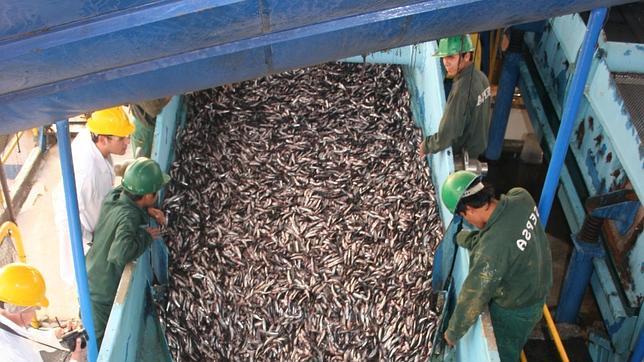 España acabará el 11 de junio con su reserva propia de pescado para 2014