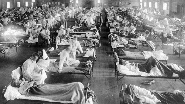 Alertan de que hay virus de la gripe en aves muy similares al de la gripe de 1918