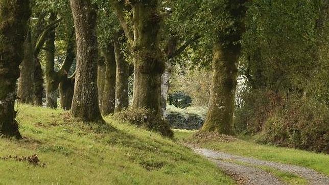 El Camino del Norte es el segundo más largo, uniendo Irún con Arzúa, municipio próximo a Santiago