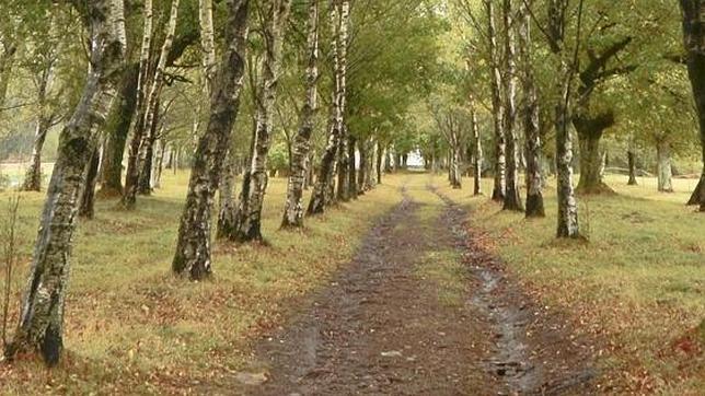 El Primitivo recibe este nombre por ser el primer Camino para peregrinar a Santiago