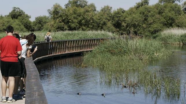 La Mancha húmeda amplía su protección