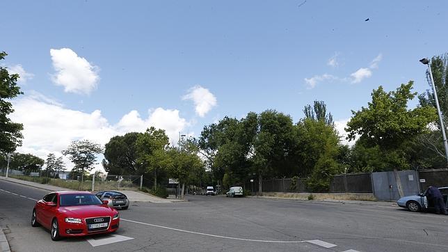 Coches circulando por las vías públicas de la Casa de Campo que aún están abiertas al tráfico