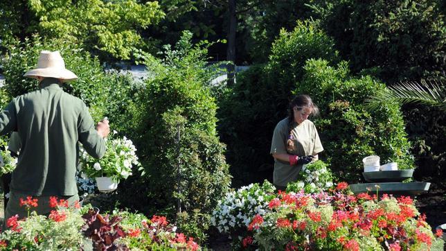 Jardineros en el vivero de Retiro