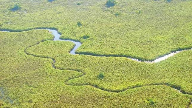 El Delta de Okavango, sitio número 1.000 de la Lista del Patrimonio Mundial