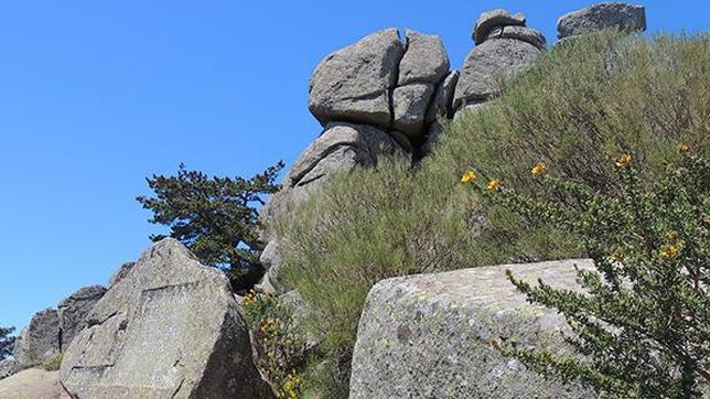 Los diez «tesoros» del Parque Nacional de la Sierra de Guadarrama