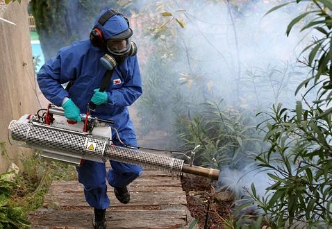 ¿El virus del dengue puede llegar a Europa gracias al Mundial de Brasil?