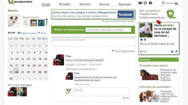 ¿Su mascota se siente sola? Apúntela a esta red social