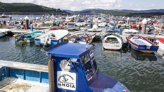 Las elecciones en las cofradías favorecen el relevo al frente de varios pósitos