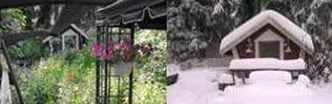 La «pastilla de la alegría» que enseñó castellano a los finlandeses