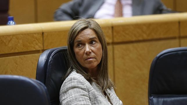 Mato garantiza que quien lo necesite será vacunado de varicela