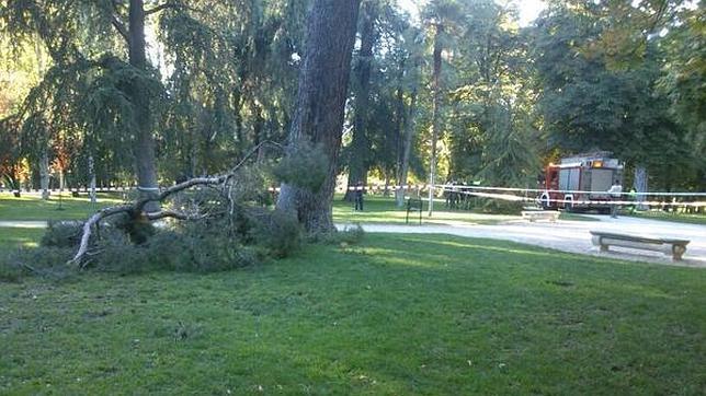 Otros dos árboles se desploman en El Retiro y en el Parque Tierno Galván