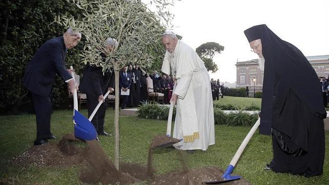 El patriarca ortodoxo Bartolomé I, el Papa Francisco, el presidente palestino Mahmoud Abbas, y el presidente israelí Shimon Peres plantan un olivo como símbolo de la paz