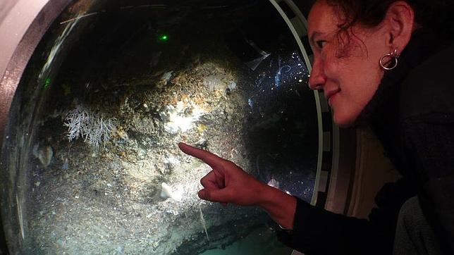 Cañón del Cap de Creus