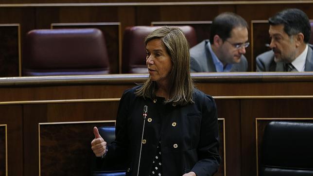 El PSOE pregunta al Gobierno si hay un protocolo de actuación frente al ébola