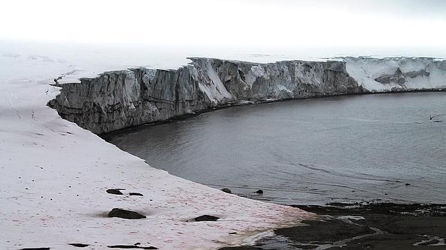¿Cómo incide el cambio climático en las áreas libres de hielo de la Antártida?