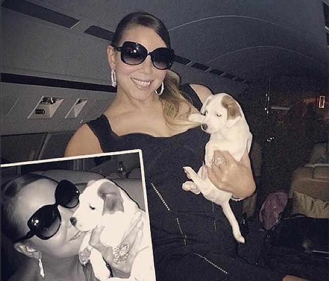 Mariah Carey gasta 140.000 euros en las vacaciones de sus perros