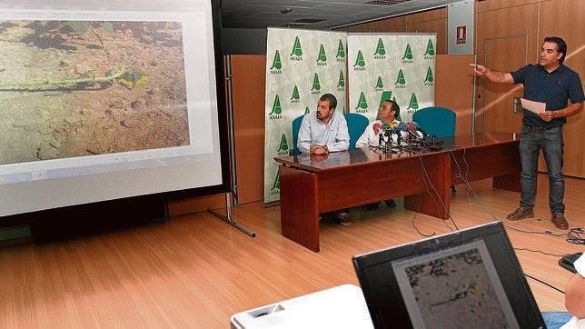 Asaja denuncia pérdidas millonarias por los topillos