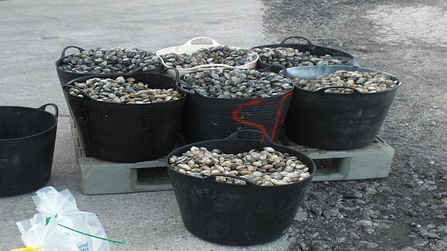 Cerco a los furtivos en la costa gallega