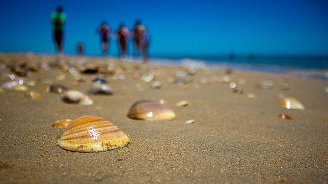 Las mejores playas para tomar el sol