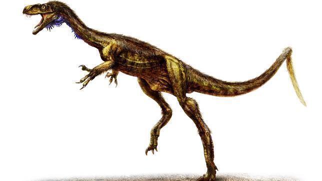 El Eodromaeus, un dinosaurio corredor