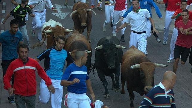 Los toros de El Estoque siembran el pánico en «Sanse»