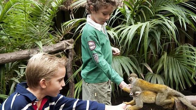 Niños jugando con una pequeños primates en «La Jungla»