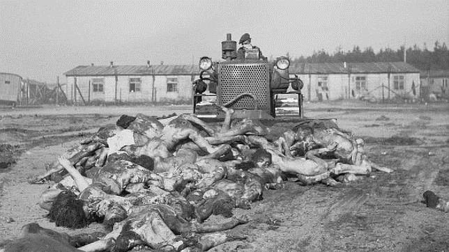 Cronología del exterminio: un plan muy estudiado