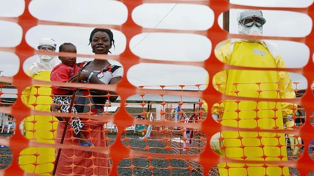 Una vacuna contra el ébola logra inmunizar a primates durante 10 meses