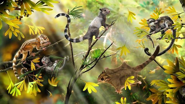 Descubren tres especies extintas similares a ardillas