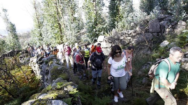 «El incendio del Monte Pindo fue devastador, pero hacia 2018 estará ya recuperado»