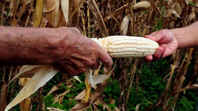 La ONU denuncia que una de cada nueve personas en el mundo sufre hambre