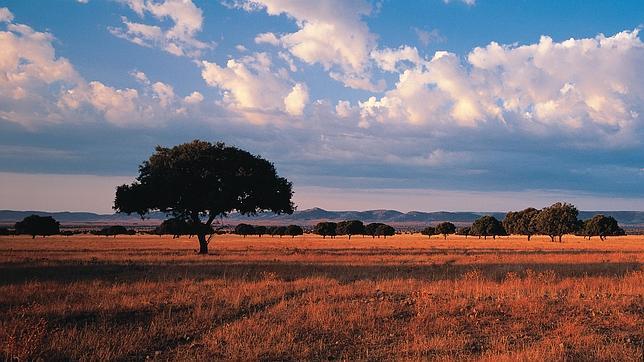 La Raña de Cabañeros, que recuerda a la sabana africana
