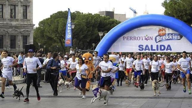 Perrotón Madrid calienta motores