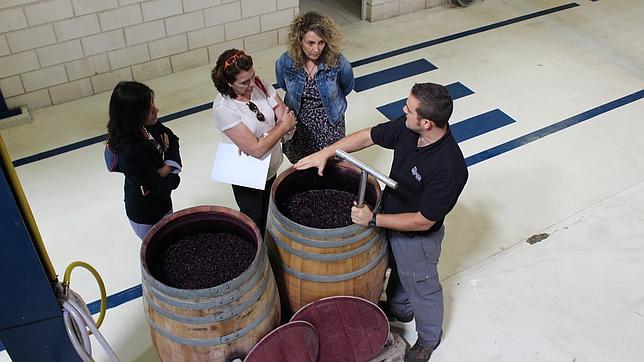 ¿Cómo hacer buenos vinos de manera artesanal?