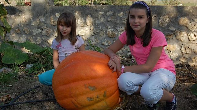 Dos niñas plantan una calabaza de 100 kilos en Valladolid