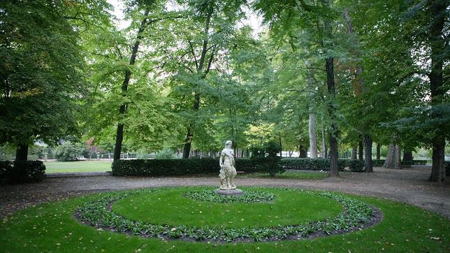 Los árboles de Aranjuez quieren entrar en la «Champion Tree»