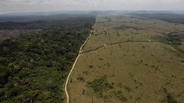 La deforestación de la Amazonia en Brasil sigue creciendo