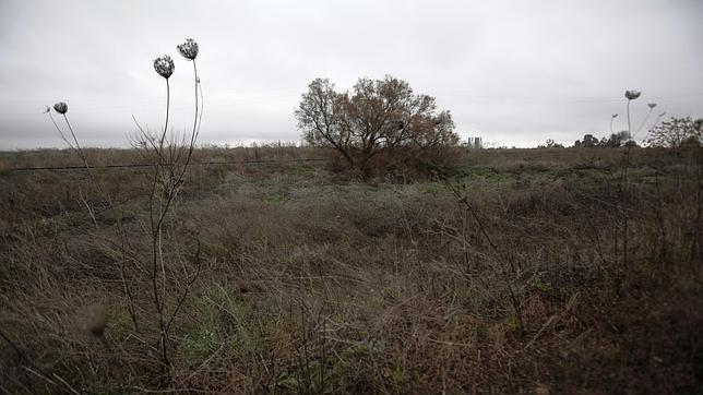 El Gobierno local reitera su firme voluntad de seguir con la zona franca