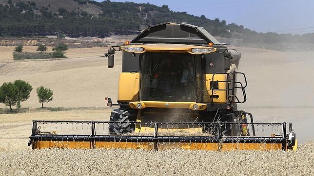 Un agricultor durante la cosecha