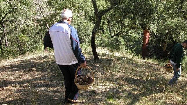 Los bomberos rescatan a un hombre herido tras caer a un barranco en la Sierra