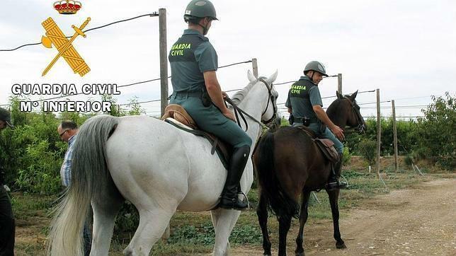 Desaconsejan que los jornaleros vayan a Jaén en busca de trabajo en la aceituna