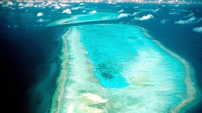 El plan para salvar la Gran Barrera de Coral «ignora el impacto del cambio climático»