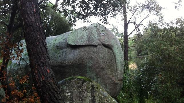 Roca tallada con forma de elefante en el bosque de Orrius