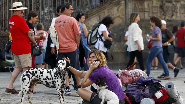 Un peregrina habla por el móvil en la plaza del Obradoiro mientras acaricia a un dálmata