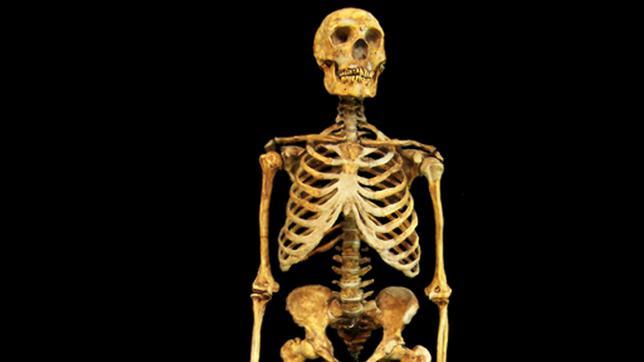 Primer esqueleto completo de Neandertal