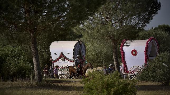 Las hermandades rocieras acusan a Aznalcázar de «querer hacer caja» con la fianza por usar sus pinares