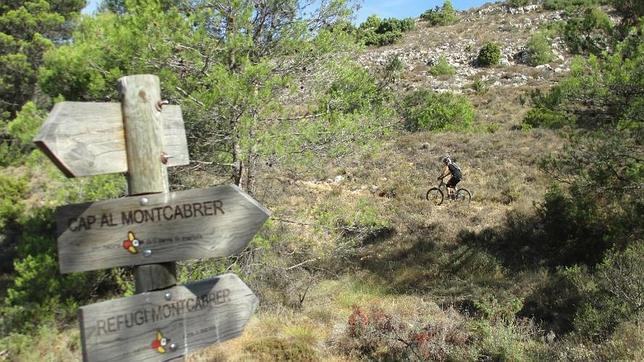 Cinco rutas para disfrutar de Alicante en bicicleta