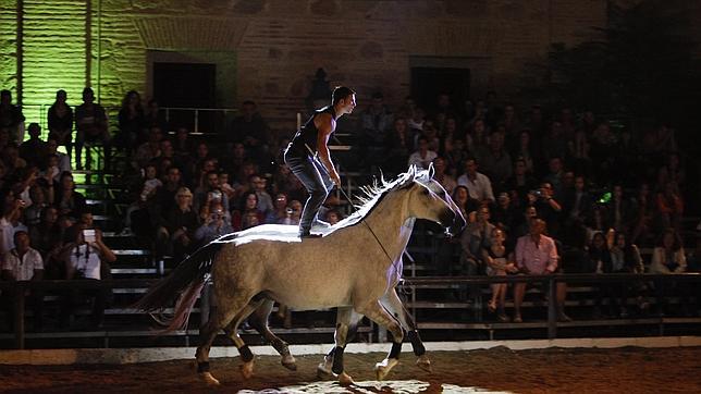 Córdoba Ecuestre da un paso clave para gestionar Caballerizas