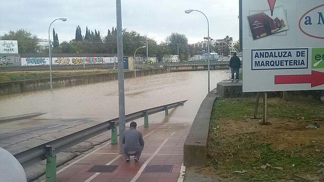 Las fuertes lluvias provocan más de 130 incidencias en la provincia de Sevilla