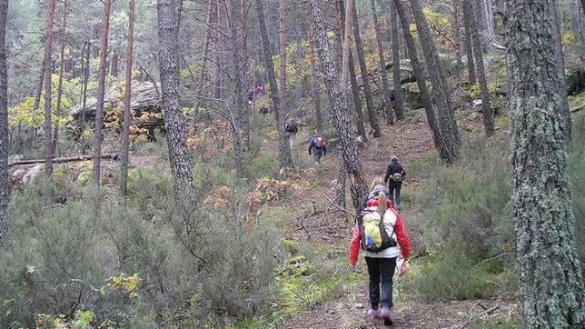 Ruta por los bosques de Navaleno